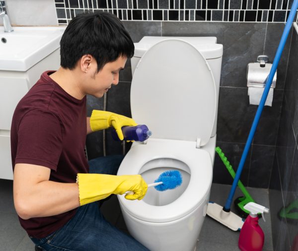 Cockroach Control Service